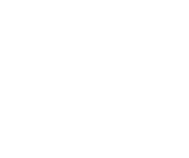 Logo Wirin SPA
